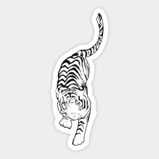 LINEAL TIGER Sticker